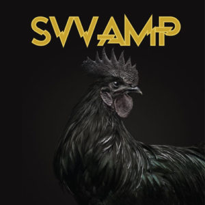 SVVAMP-SVVAMP-RE-RECORDS