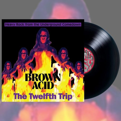 Brown Acid "The Twelfth Trip" - Image 3