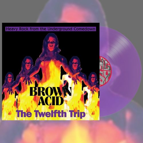 Brown Acid "The Twelfth Trip" - Image 2
