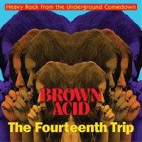 Brown Acid - The Fourteenth Trip