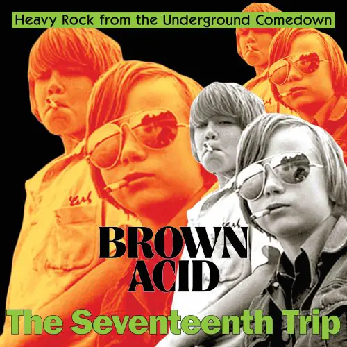 Brown Acid The Seventeenth Trip