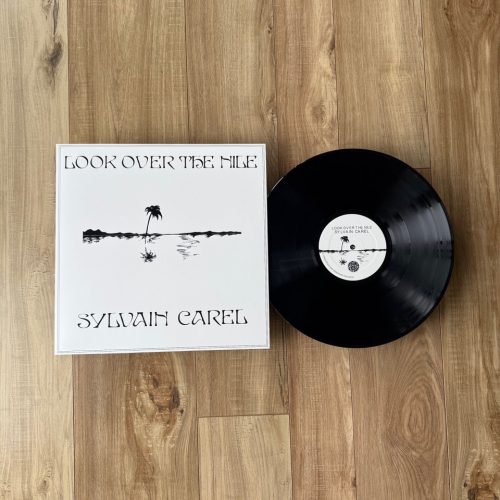 RSD 2025 COMBO (ALL TITLES FOR ONE LOW PRICE) - Image 4