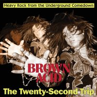 BROWN ACID "The Twenty-Second Trip"